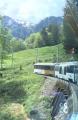 48-reduit