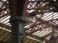 IMG_1860-reduit
